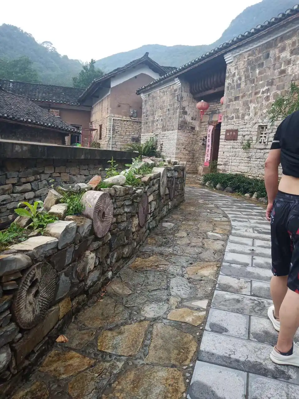 用户反馈图片