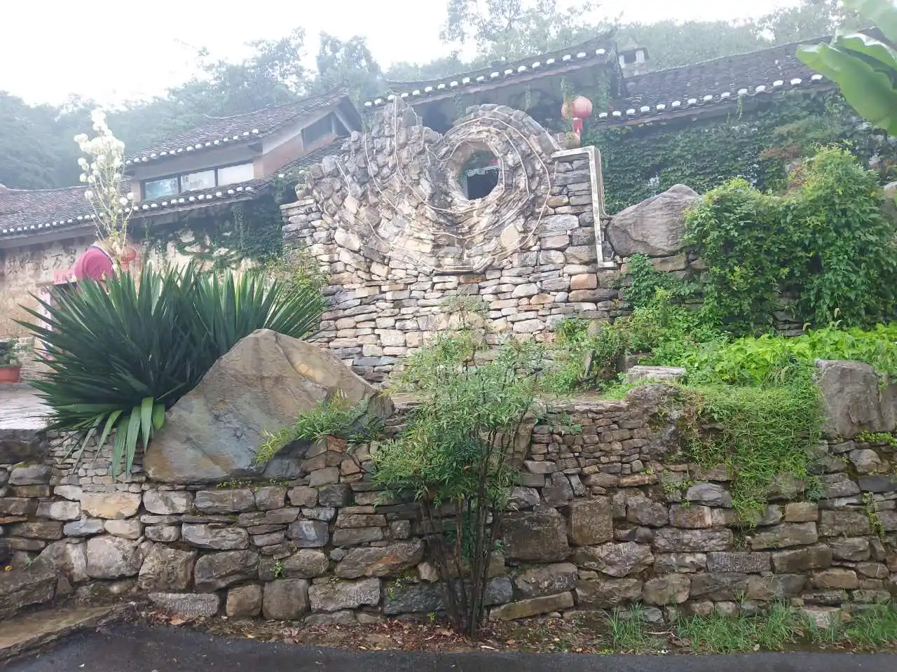 用户反馈图片