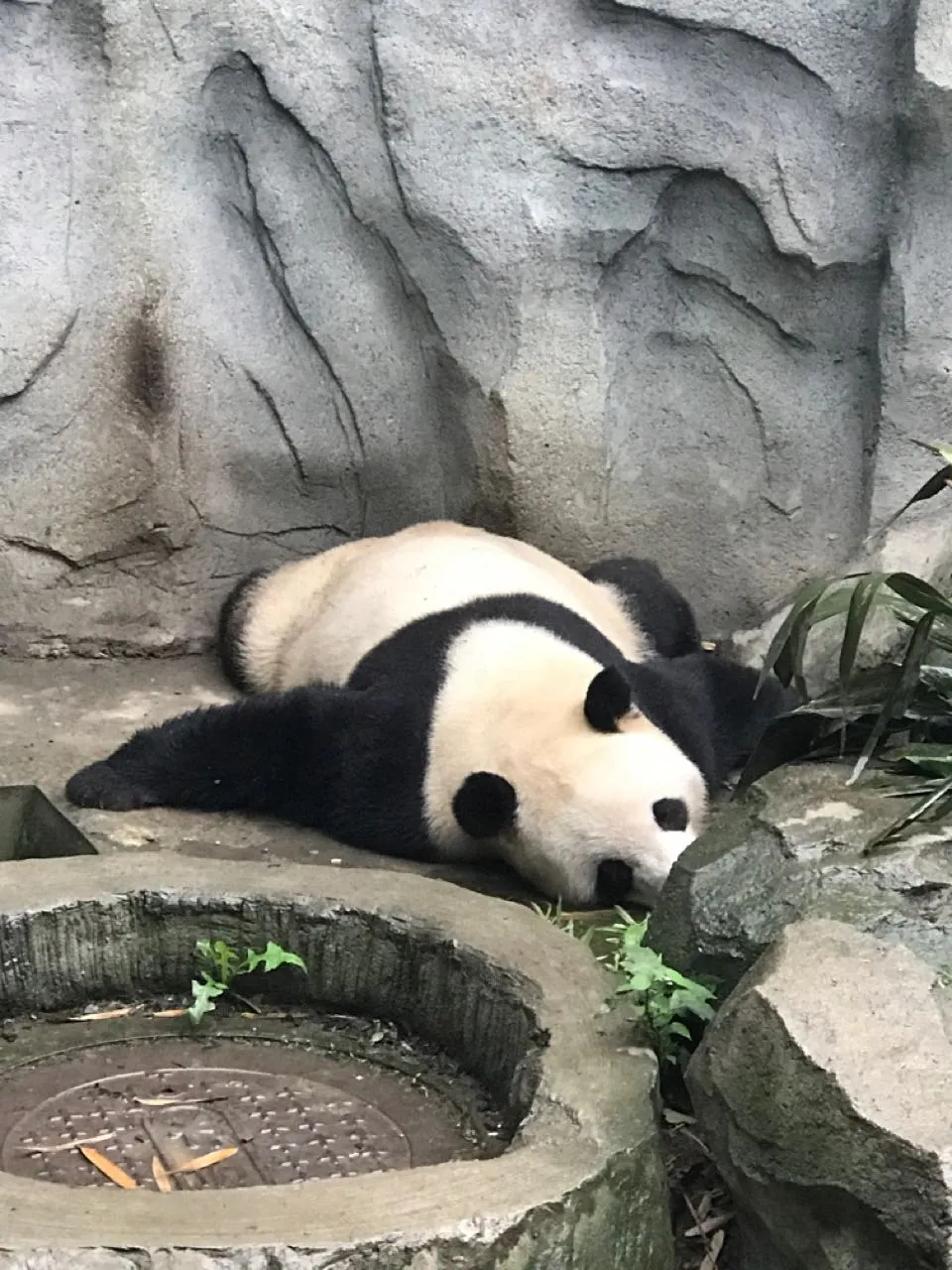 用户反馈图片