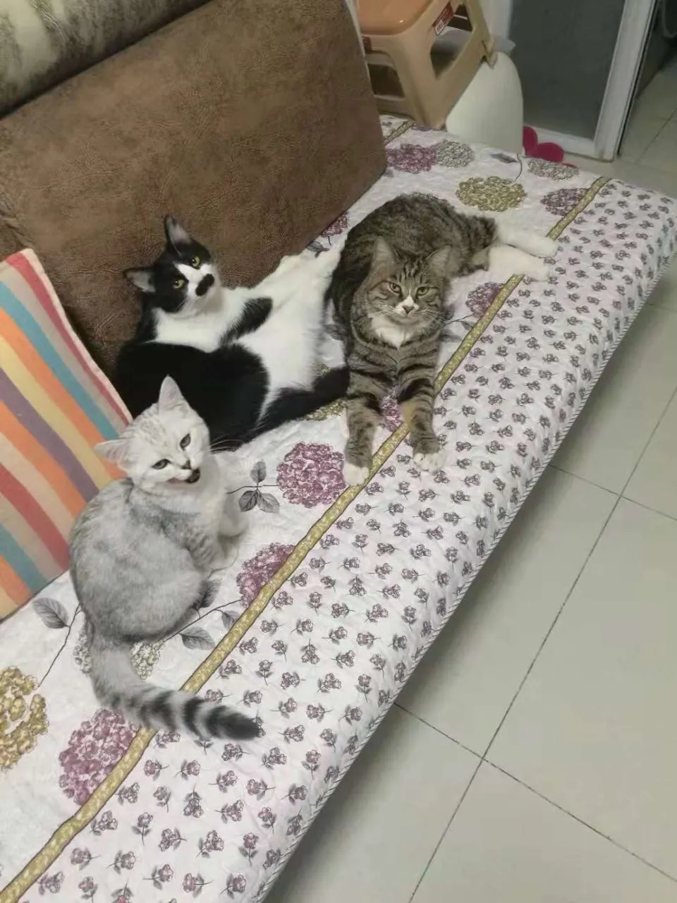用户反馈图片