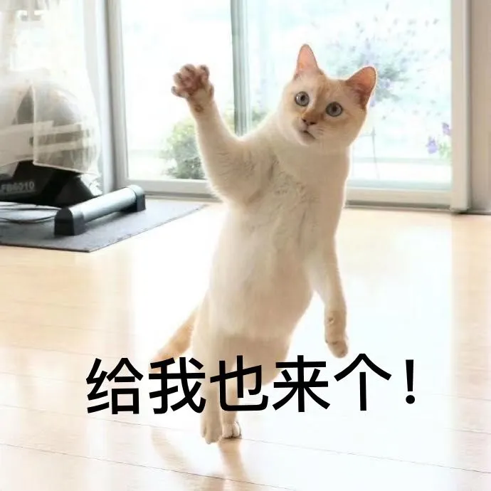 用户反馈图片