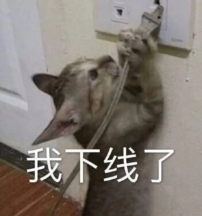用户反馈图片