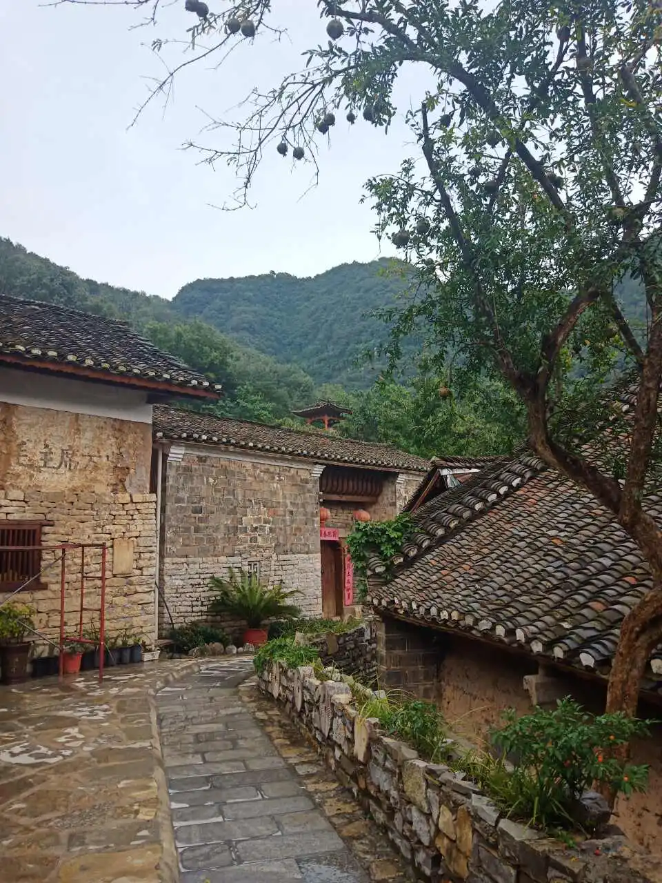 用户反馈图片