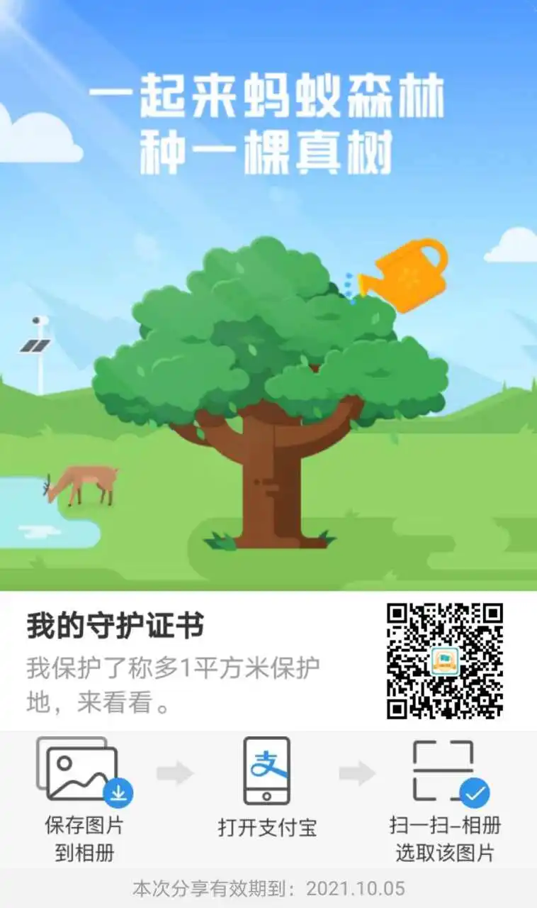 用户反馈图片