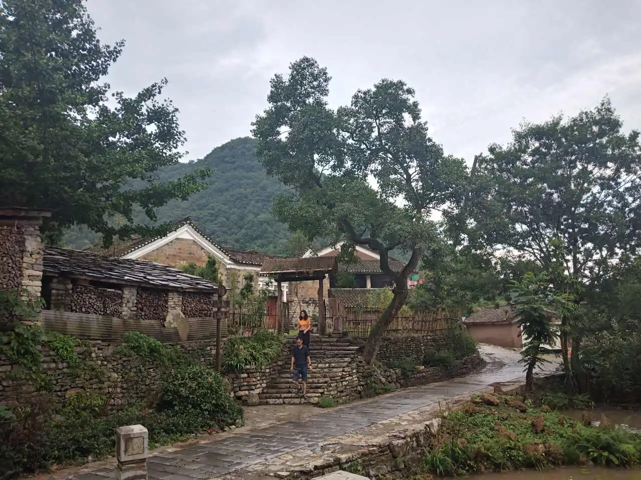 用户反馈图片