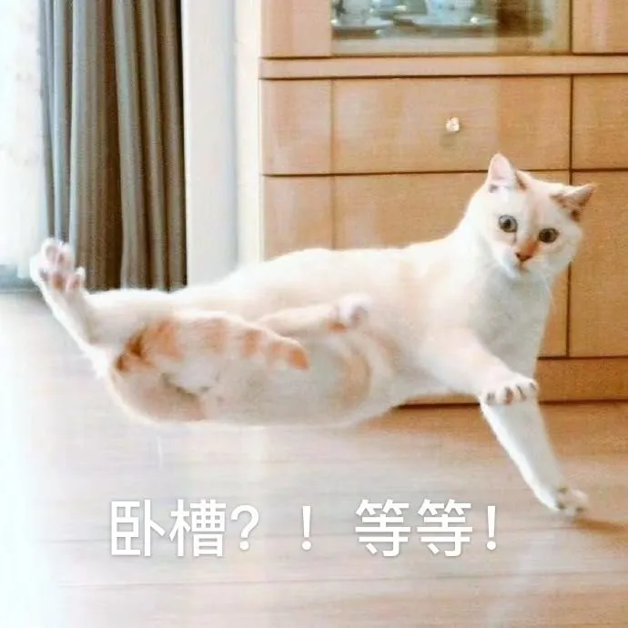 用户反馈图片