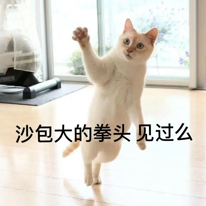 用户反馈图片