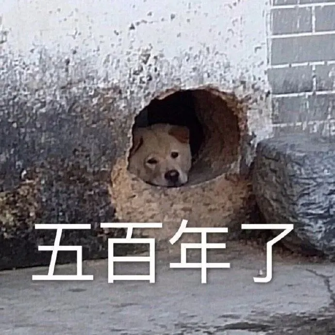 用户反馈图片