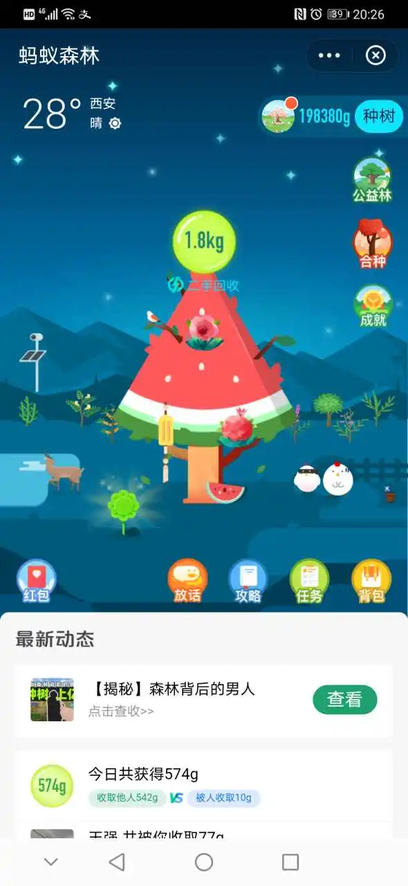 用户反馈图片