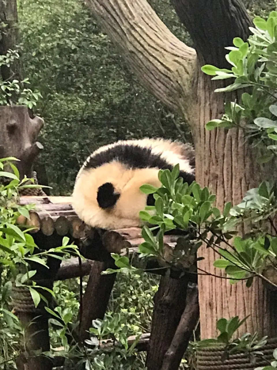用户反馈图片