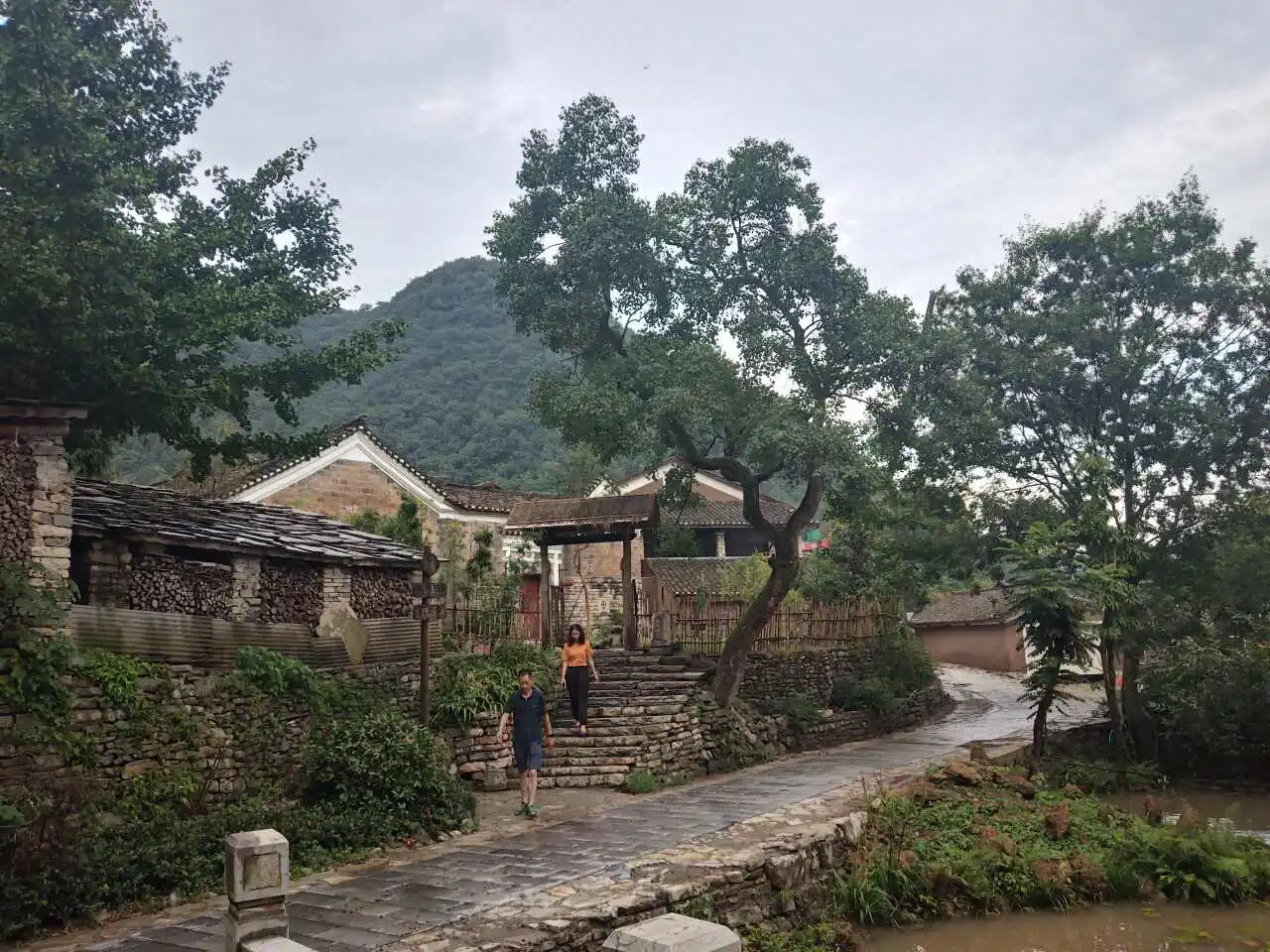 用户反馈图片