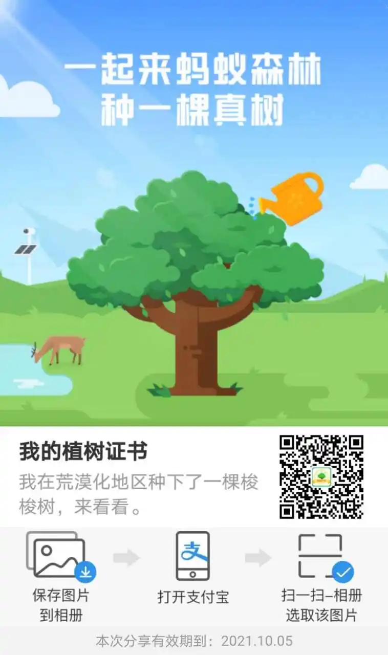 用户反馈图片