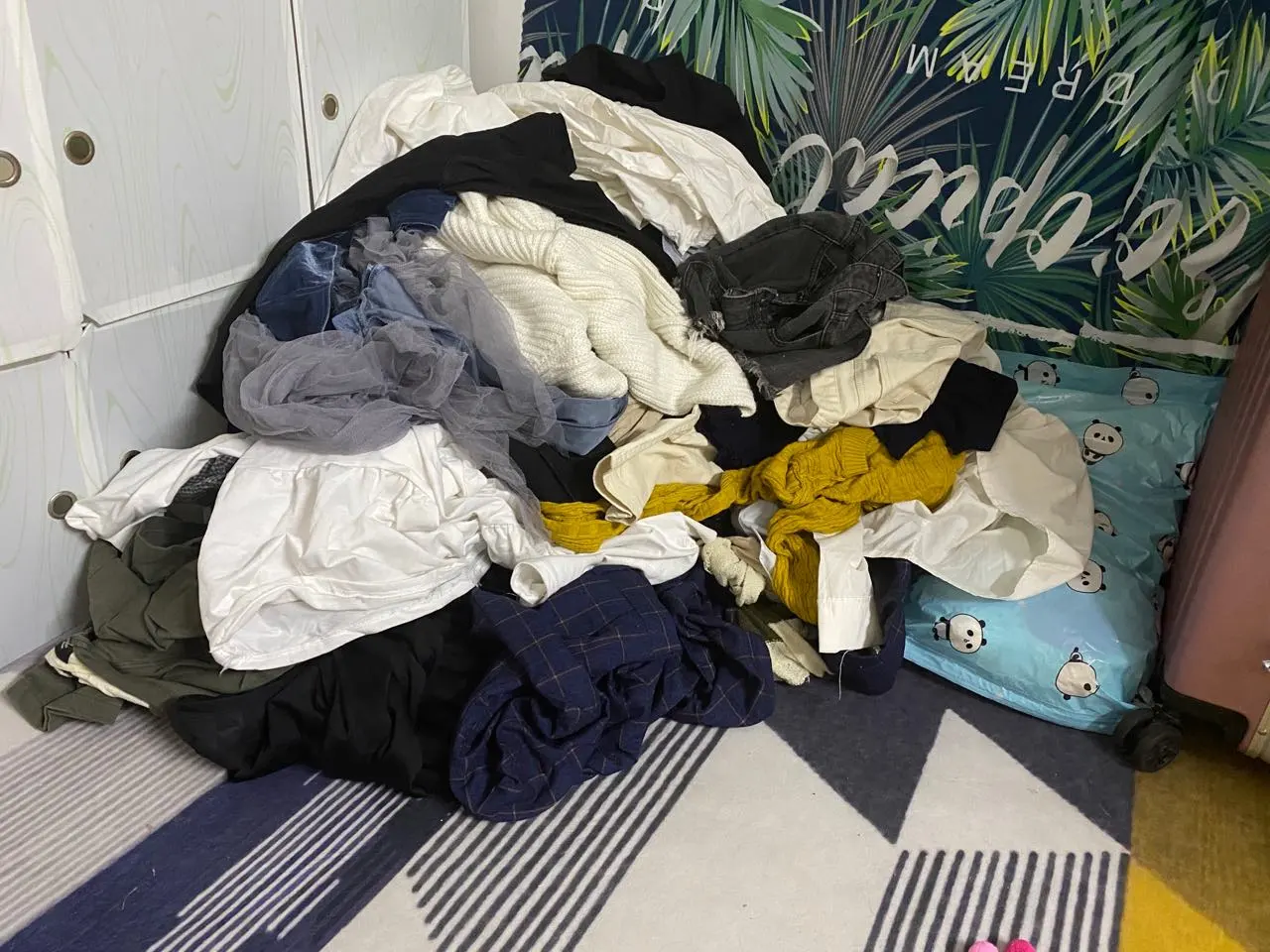 用户反馈图片