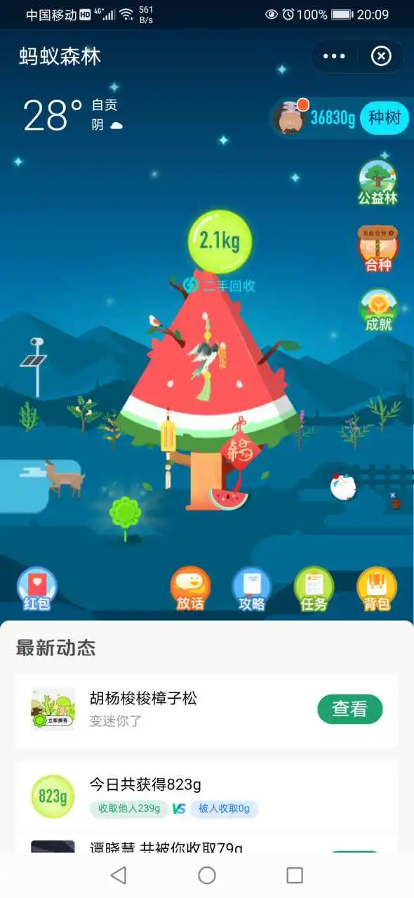 用户反馈图片