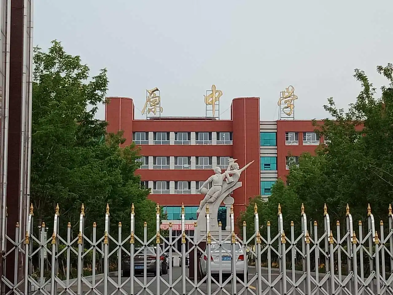 用户反馈图片