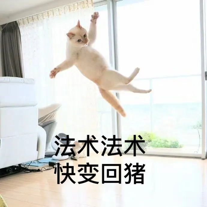 用户反馈图片