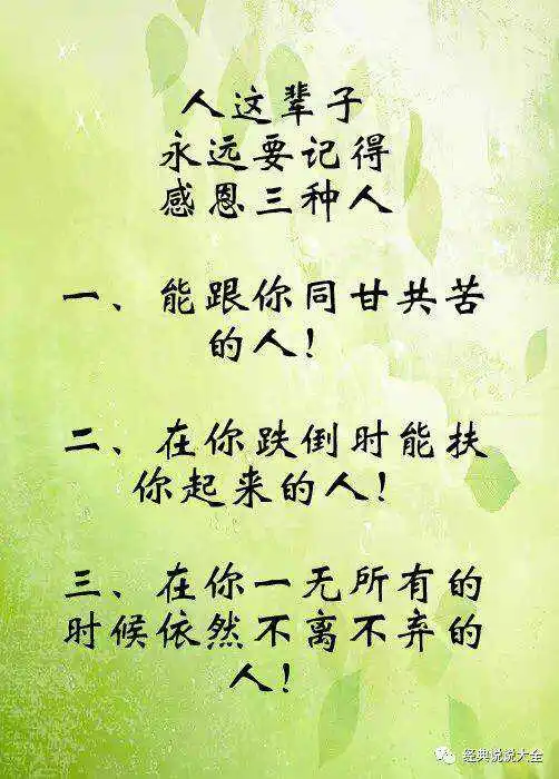 用户反馈图片