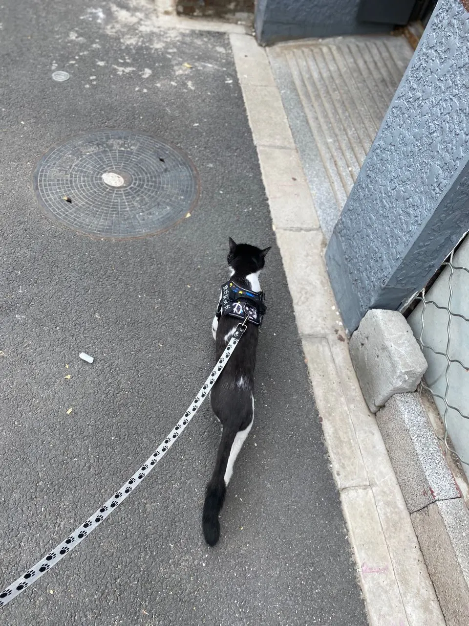 用户反馈图片
