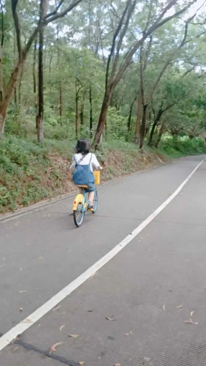 用户反馈图片