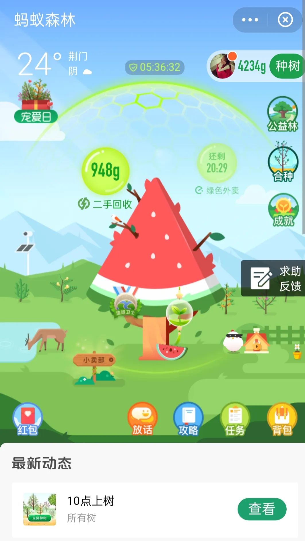 用户反馈图片