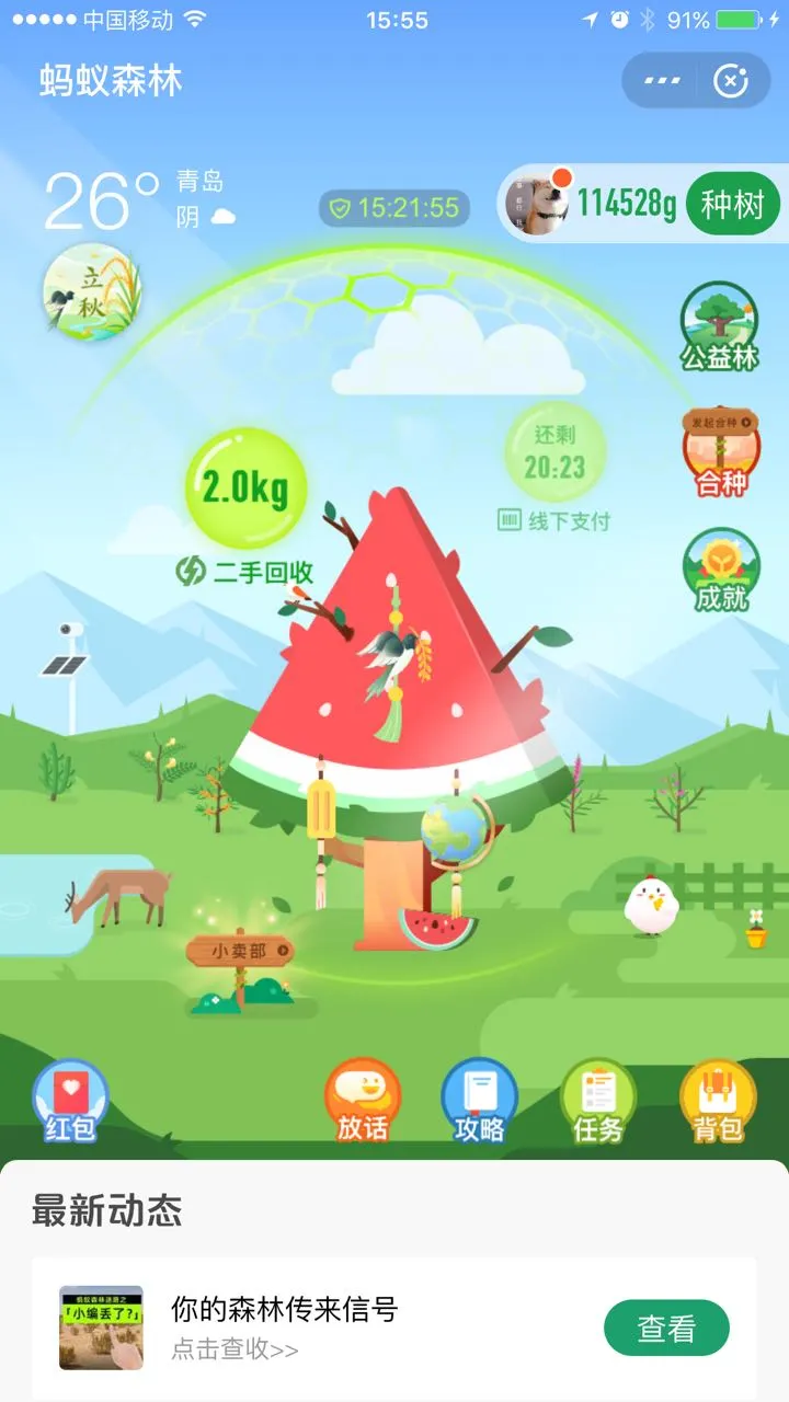 用户反馈图片
