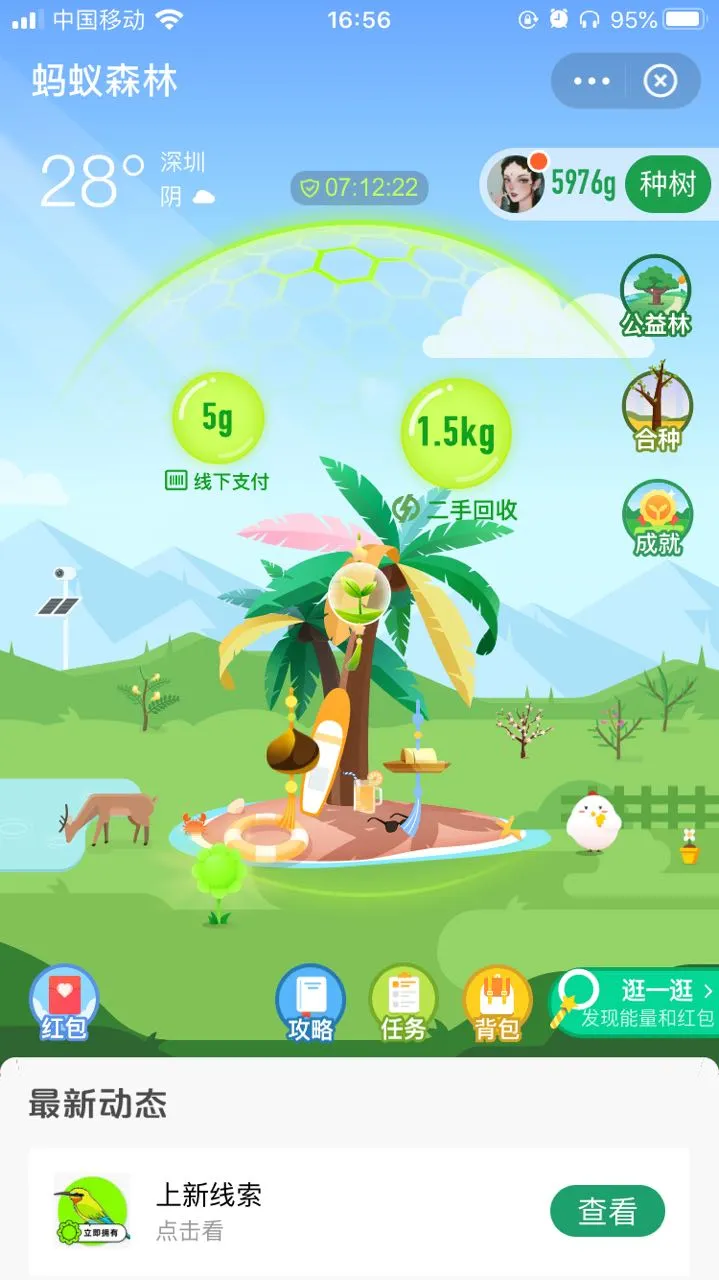 用户反馈图片