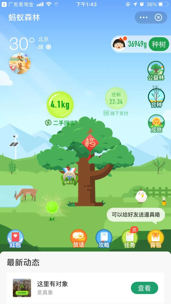 用户反馈图片