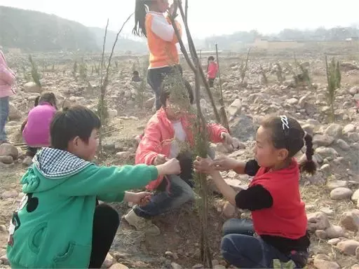 用户反馈图片
