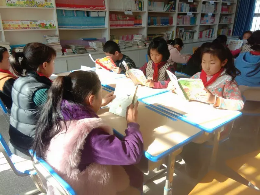 用户反馈图片