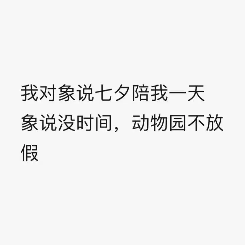 用户反馈图片