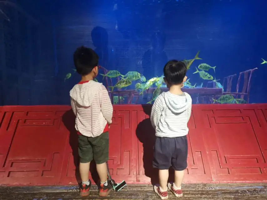 用户反馈图片