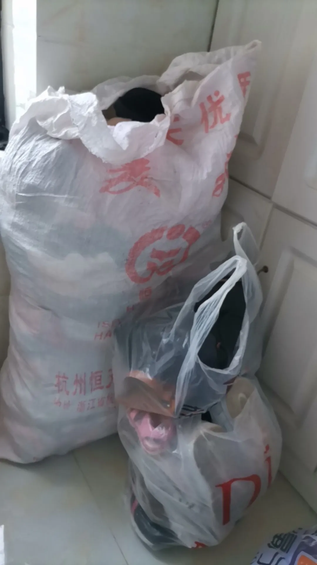 用户反馈图片