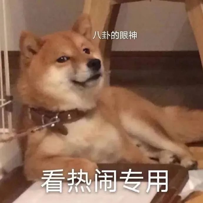 用户反馈图片