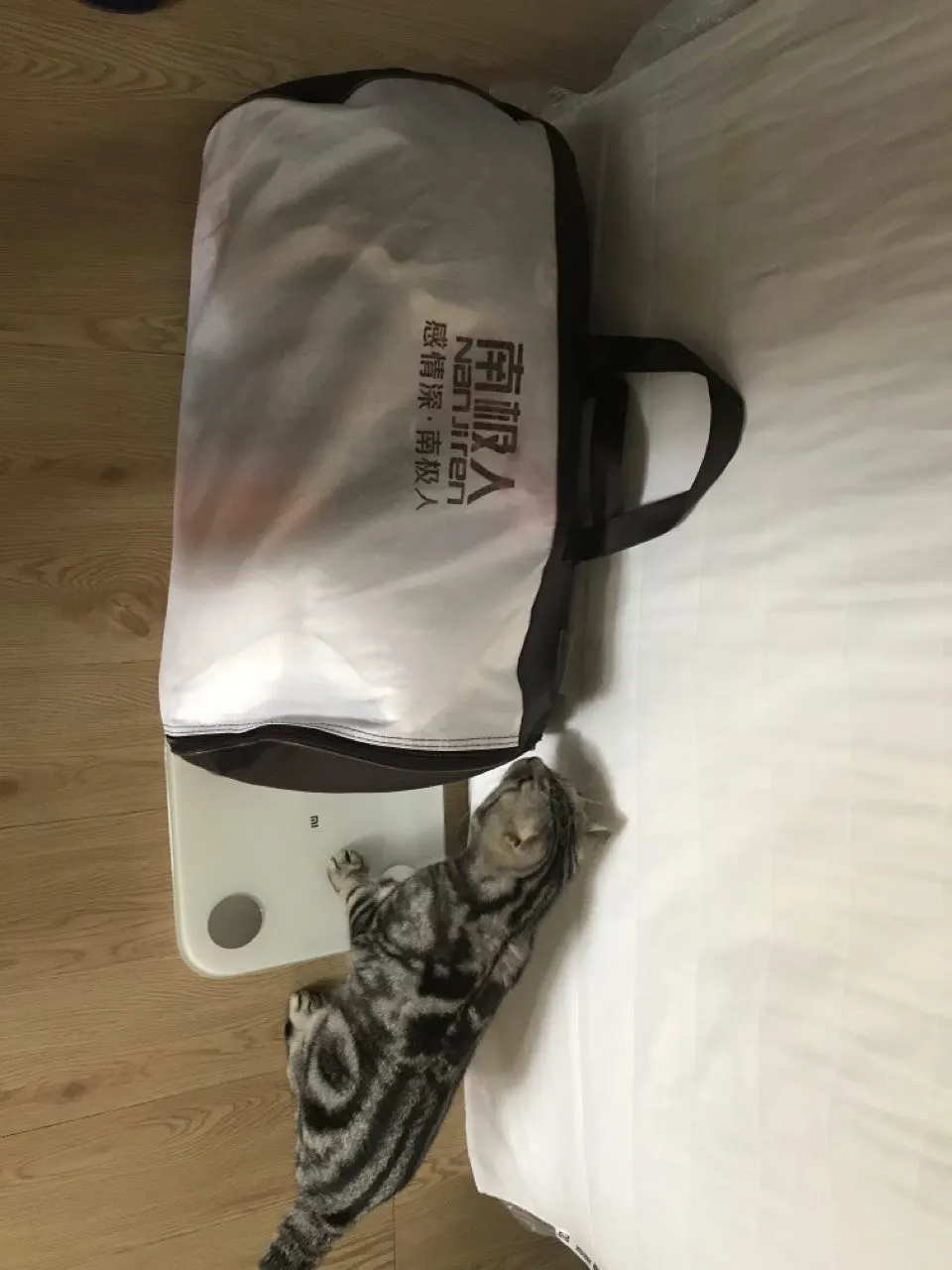 用户反馈图片