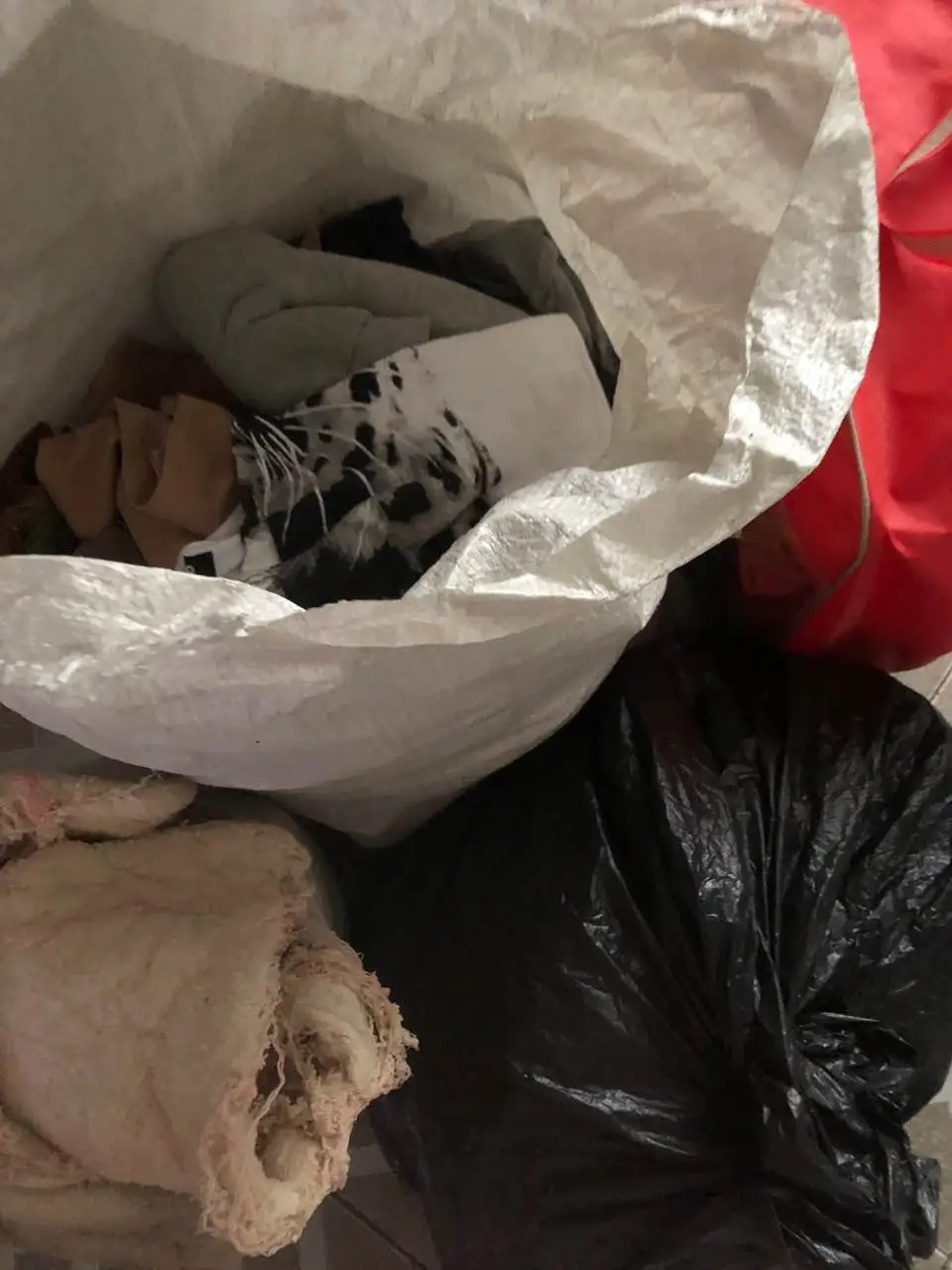 用户反馈图片