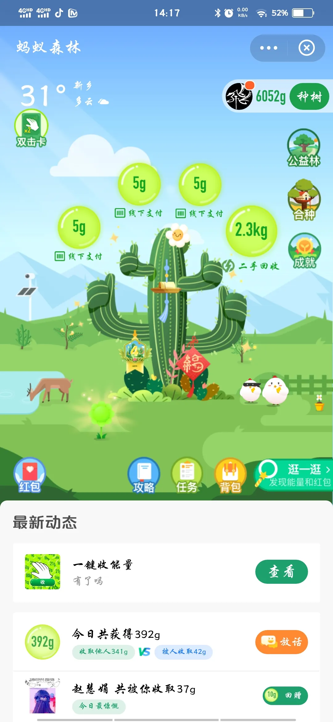 用户反馈图片