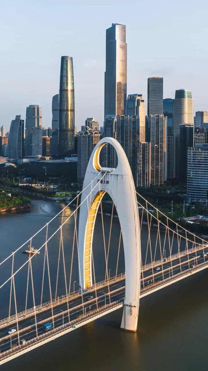 用户反馈图片
