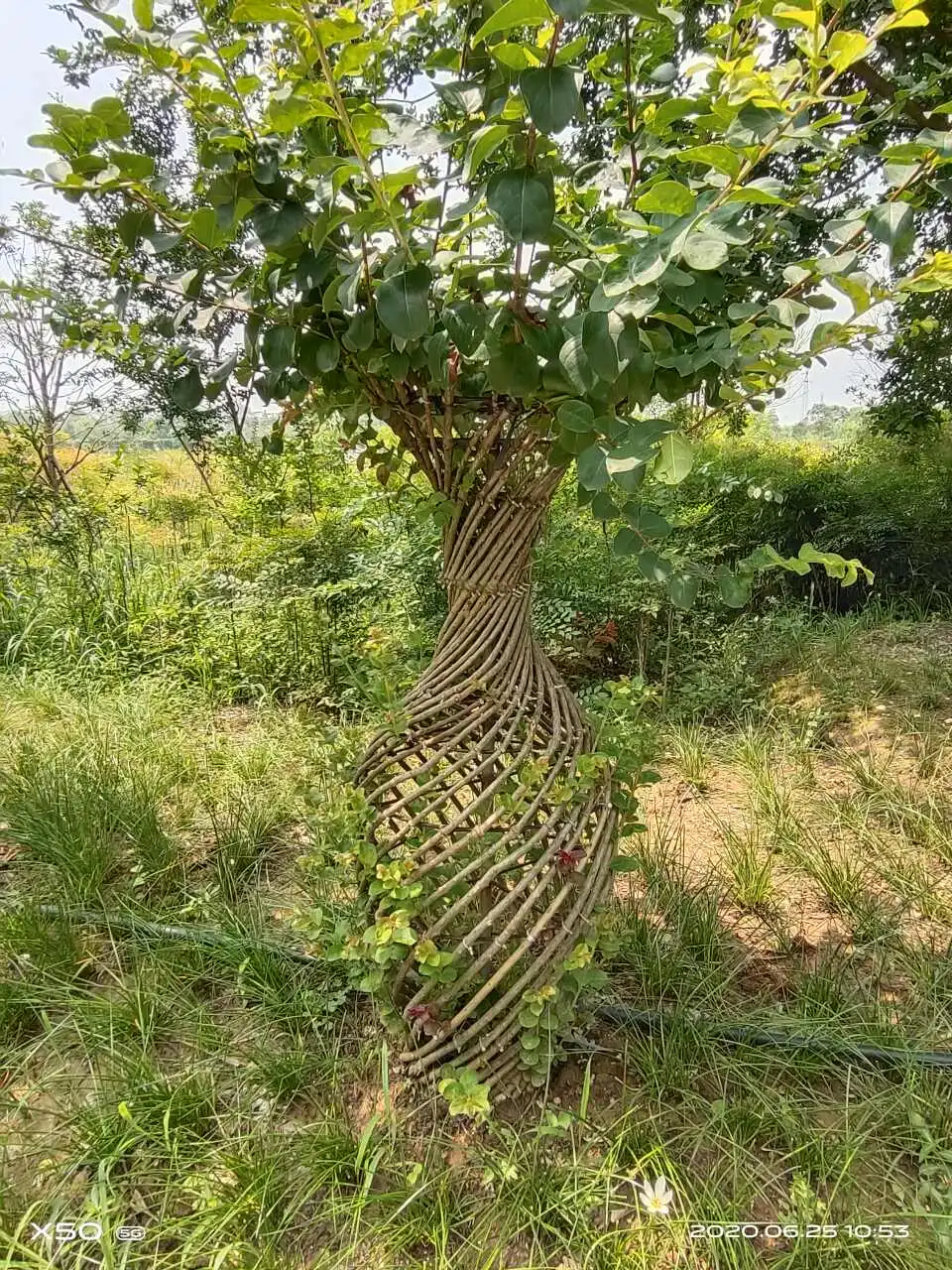 用户反馈图片
